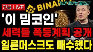 [코인추천] 일론머스크도 매수한 '이 밈코인' 세력들 준비 끝났다 폭등 계획 공개합니다