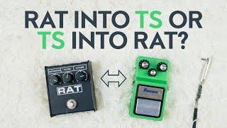 Tube Screamer into Rat or Rat into Tube Screamer?