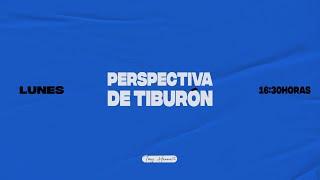 Perspectiva del Tiburón - Episodio 1