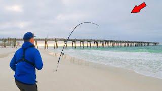 Catching Massive Fish from Shore For 2 Hours!