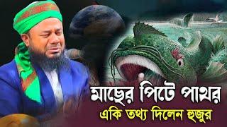 মাছের পিটে পাথর ! শরীফুজ্জামান রাজীবপুরী ওয়াজ | জান্নাত কি ? Shorifuzzaman Rajibpuri | Islamic waz24