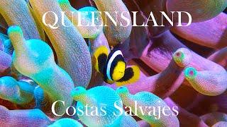 "Costas Salvajes. Queensland" -Teaser DCDocumentaries