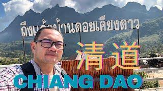 清道 Chiang Dao，是清迈人的泰北度假胜地！泰国第三高山峰 Doi Luang Chiang Dao, 12公里长的万年洞穴，温泉，早市，美食，别致咖啡馆，凉爽天气， 简直一见就爱上这里了！