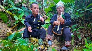 Forest Survival: How Dwarf Family Building a Shelter & Found Food in the Wild - ASMR