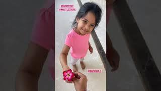 chiranjeevi grand daughter