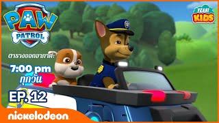 การ์ตูน Paw Patrol - ขบวนการเจ้าตูบสี่ขา ได้รับเพื่อนเข้ากลุ่ม ตอนที่ 12 | การตูนอเมริชั่นไทย2019