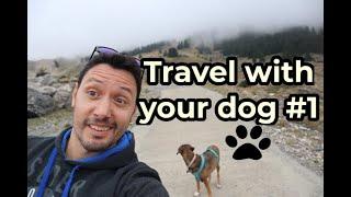 Τravel with your dog  #1 (Ταξιδιωτικός οδηγός,Κάτω Ζαχλωρού,Καλάβρυτα,Λίμνη Τσιβλού)