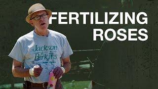 Fertilizing Roses with Paul Zimmerman