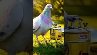 || Garmi || #youtube #viralvideo #viralshorts #youtubeshorts #ai #trending #aigenerated #farmer