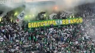 SPORTING CP ULTRAS Pyro Shows