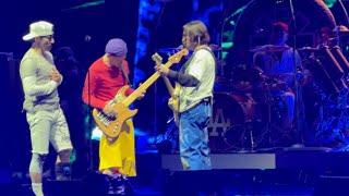 Red Hot Chili Peppers Perform ‘Under the Bridge’ Live at The Gorge Amphitheatre in 4K