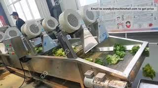 Lettuce Cleaning Machine