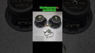 SOAUDIO 2 way so 165/3.8& so19v handmade germany