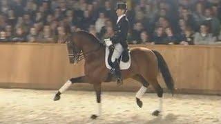 Edward Gal & United - stallion show van Uytert