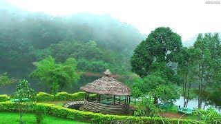 FEEL THE HEALING POWER OF NATURE : BEST COLLECTIONS PART ELEVEN