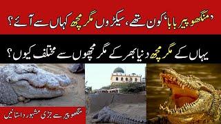 History of Manghopir Baba and Crocodiles at his shrine