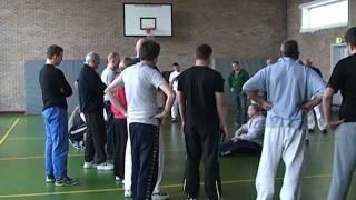 Systema(Haagse Dingen).mpg