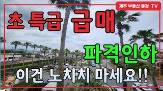 【 전속매물 】 그냥 사세요^^ 얼른 팔고 가야해서^^  파격적인 !! 금액인하 ^^ jeju 하와이 함덕해수욕장   ^^조율불가해요~~~ㅠㅠ