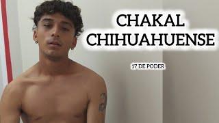 CHAKAL CHIHUAHUENSE / #wequer