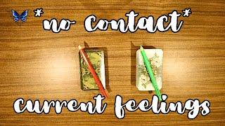 *NO CONTACT* THEIR CURRENT FEELINGS FOR YOU ️‍️‍🩹 Timeless Tarot Reading 