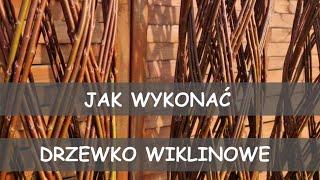  Wyplatamy żywe drzewko wiklinowe. Naturalne formy ogrodowe.