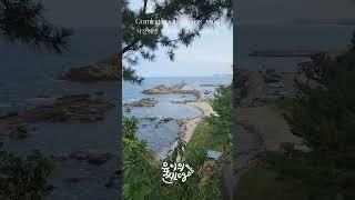 찐토스 2달만에 운행  오늘 여름 휴가 다녀왔습니다~ 본편 편집해서 돌아올게요 다들 여름 휴가 재밌게 보내세용 #셀토스 #vlog  🫶