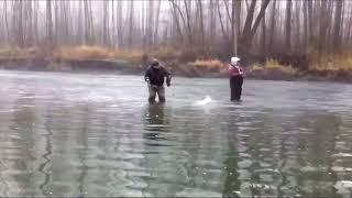 Green River Catching Bonanza | A Blast From The Past