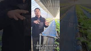 아이스플랜트 농장에 다녀왔습니다