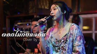 ดอกไม้กับแจกัน -ใหม่ เจริญปุระ I Cover by เอย [ SweetHours ]