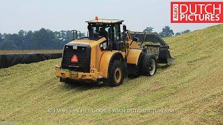 Claas Jaguar 980 with a lot of Massey's and a CAT 966K - Van Bakel Vredepeel | Maize | Mais | Corn