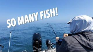 Coho Madness!!  Lake Michigan Spring Salmon