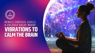 Sound Vibrations to Calm the Brain and Reduce Cortisol Levels | Unleash the Vagus Nerve