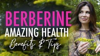 BERBERINE - The Blood Sugar Balancing, Autophagy Inducing Miracle