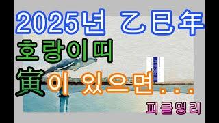 2025년 을사년 운세  호랑이띠 & 寅 - 피클의 행복한 명리