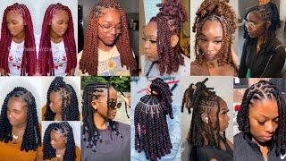 45+ Extremely Gorgeous & Stylish Kinky Twist Braids Hairstyles for Black Women~Twist Braid Hairstyle