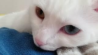 잘자요.