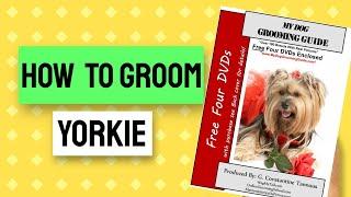 How To Groom A Yorkie   Grooming Guide   Yorkshire Terrier Head Grooming