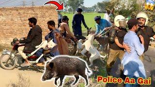 Soor Ka Shikar ll Police Aa Gai