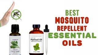 Best Mosquito Repellent Essential Oils