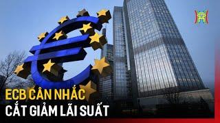 ECB cân nhắc cắt giảm lãi suất | Tin tức