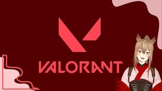 【Valorant】我又來biubiu 啊哈！【赤羽 紅/ Akabane Aka】