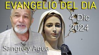 Evangelio Del Dia Hoy - Miercoles 4 Diciembre 2024- Sangre y Agua