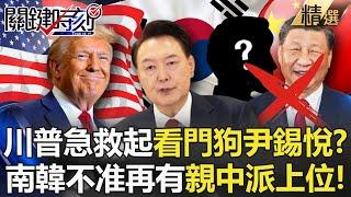 Trump cannot lose the watchdog Yin Xiyue! ?