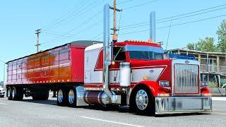 PETERBILT 379 CUSTOM | Maurer Grain Hopper Trailer - ATS