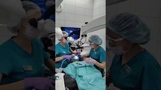 Добро пожаловать в клинику Дентал-Сервис на Родниках #доктор #зубы #стоматология #rec #top