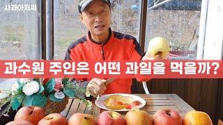 과수원 주인은 어떤 과일을 먹을까? 사과아저씨와 식구들이 먹는 사과는? 사과먹방