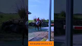 제주육성목장 언덕주로 조교