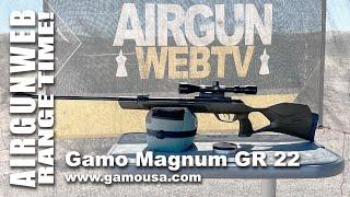 Gamo Magnum GR .22, old school SPRING airgun at 100yd? WWW.GAMOUSA.COM exclusive