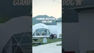 香港寵物友善日系Snow Peak Glamping with 臘腸狗Dumbo