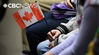 How Ontario plans to protect newcomers from immigration scams